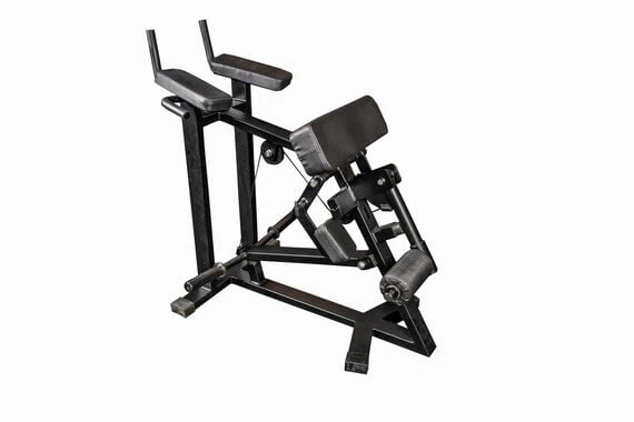 PRO Reiden koukistus seisten