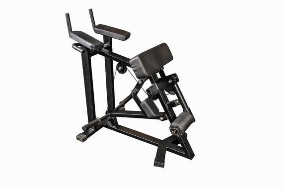 PRO Reiden koukistus seisten