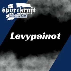 Levypainot