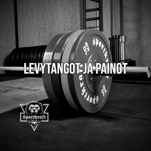 Levytangot ja painot