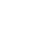 favicon_light_sportkraft