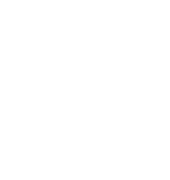 favicon_light_sportkraft